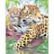 Royal & Langnickel® Jaguars by the Pool Colour Pencil™ by Number Kit